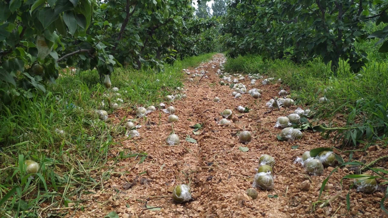 爱游戏体育官方-山西队遭遇浙江侵袭，落得下风的简单介绍